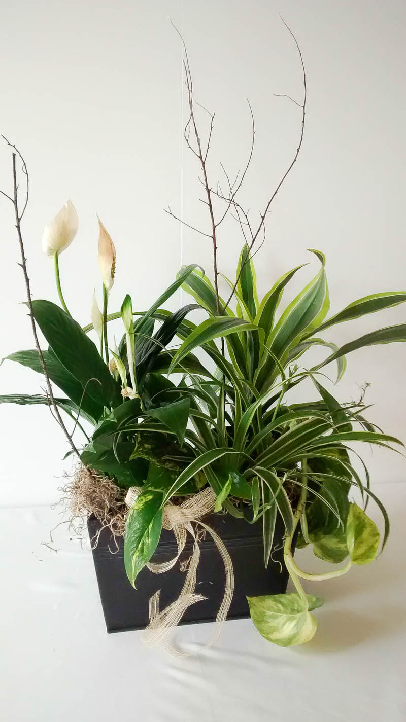 arrangement de fleurs